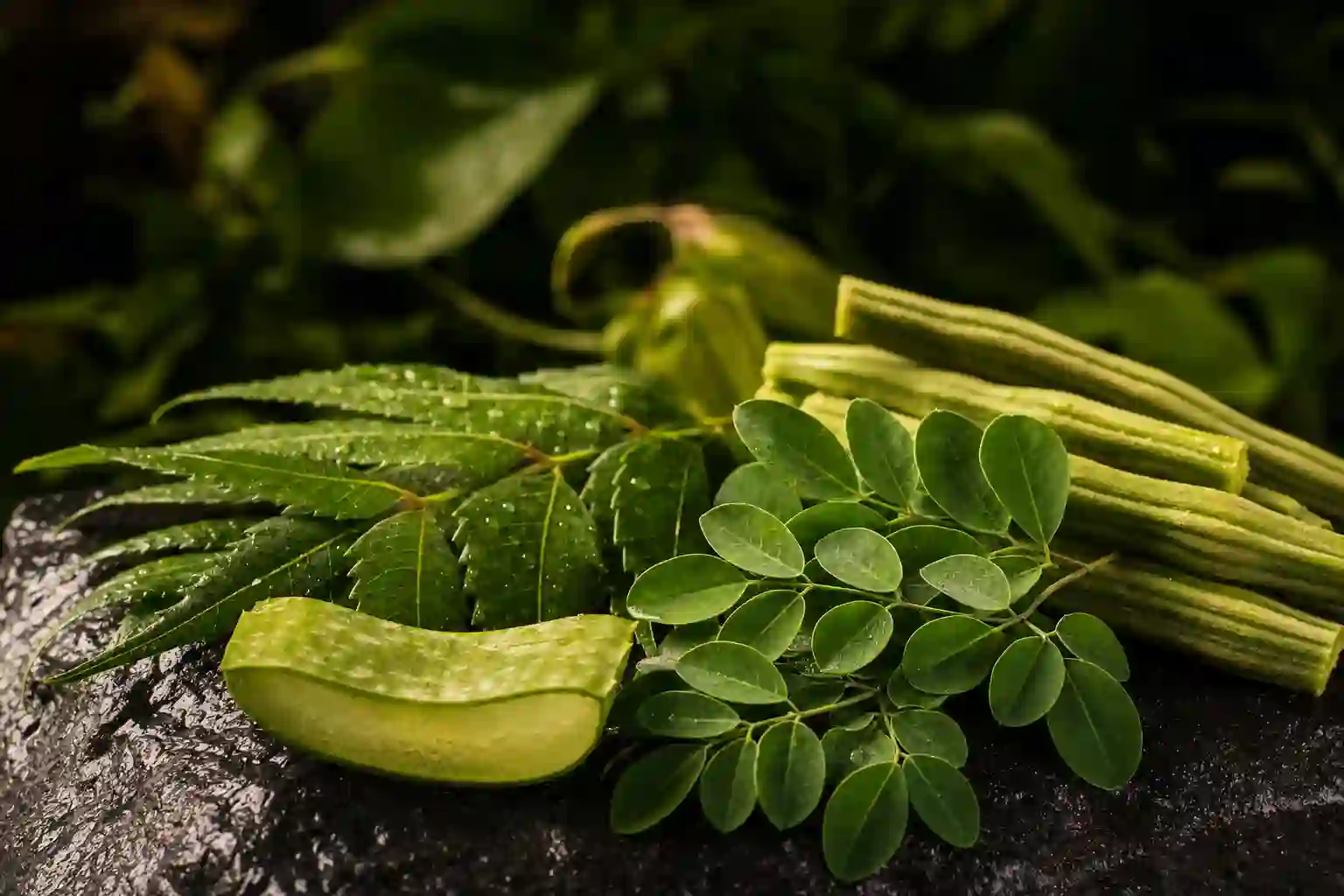 Neem leaves, aloe vera, and moringa leaves and pods together on dark stone