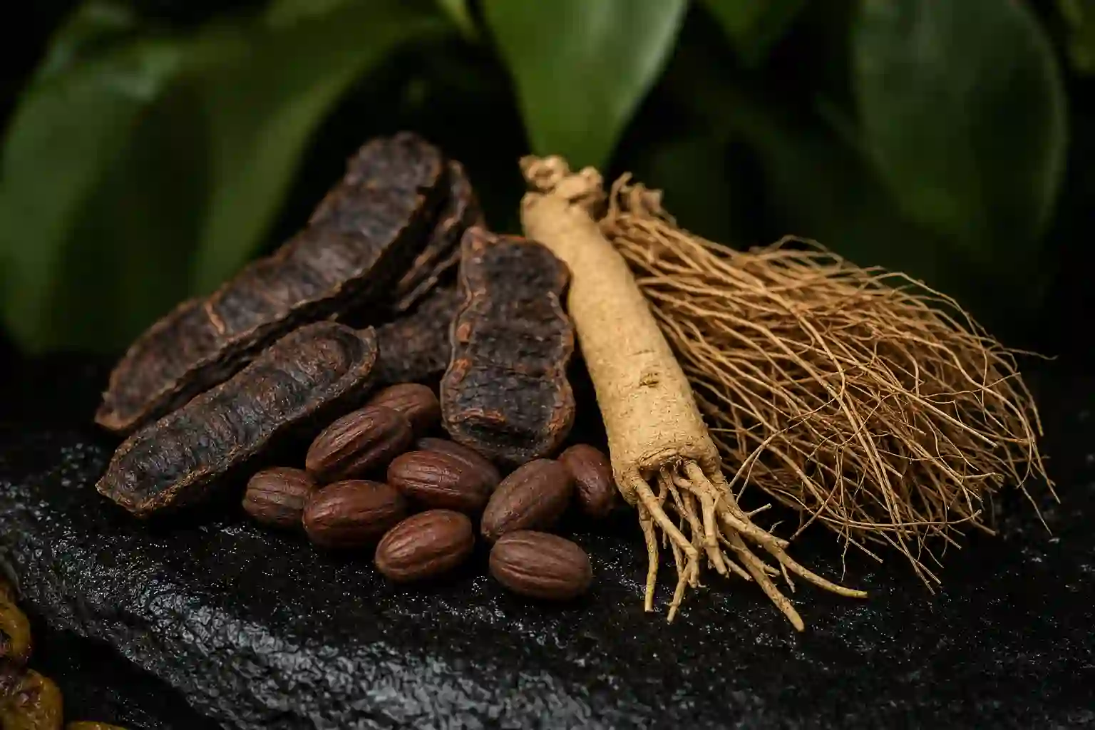 Jojoba beans, shikakai pods, ashwagandha root, and vetiver root together on dark stone